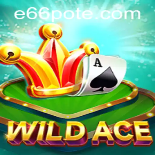 Exploring WildAce: An In-Depth Look into the Game and Its Mechanics